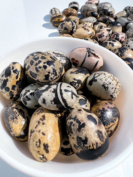 Picture Jasper tumble