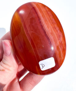 Carnelian palm