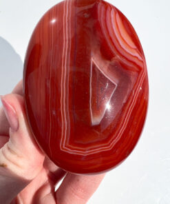 Carnelian palm