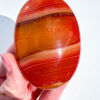 Carnelian palm