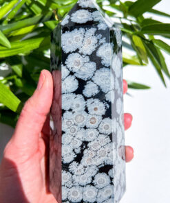 Snowflake Obsidian tower