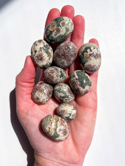 Sakura Jasper tumble