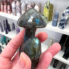 Labradorite Mushroom Family Carving