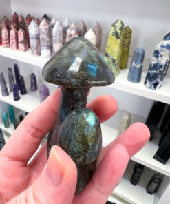 Labradorite Mushroom Family Carving