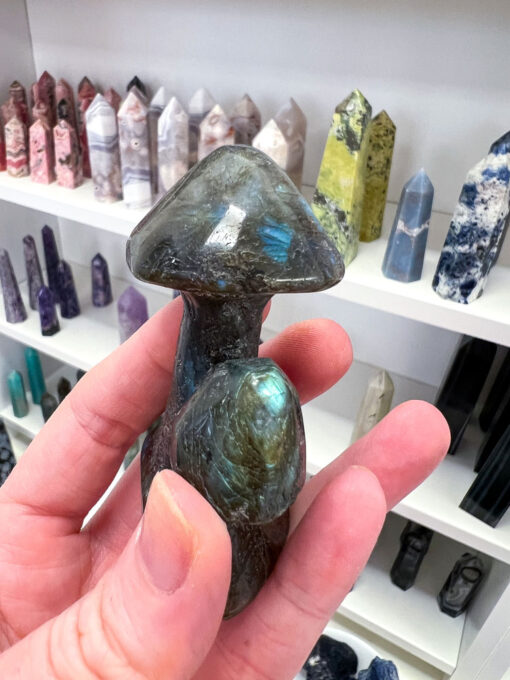 Labradorite Mushroom Family Carving