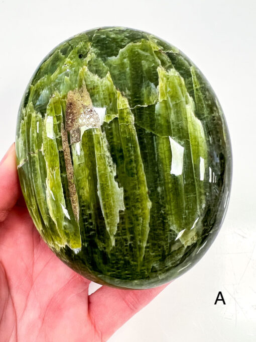 Large Tremolite palm