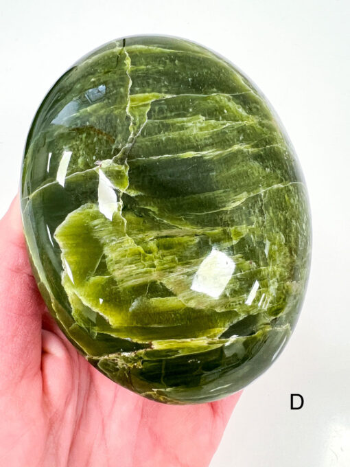 Large Tremolite palm