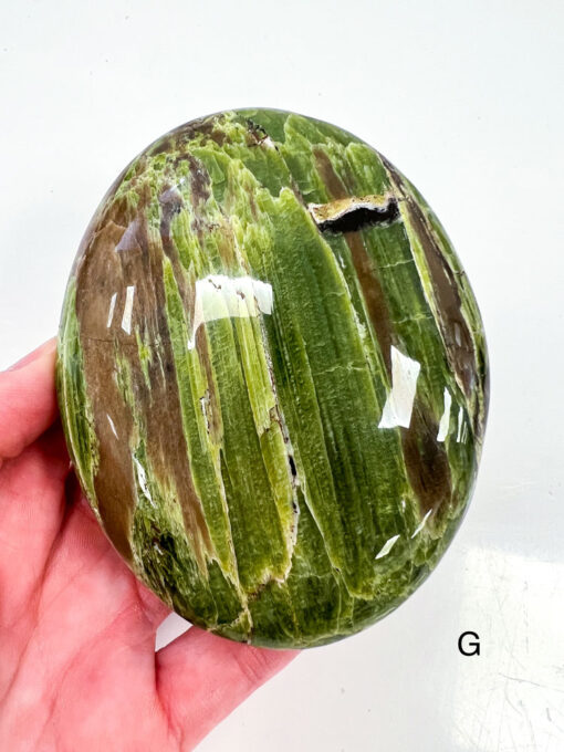 Large Tremolite palm