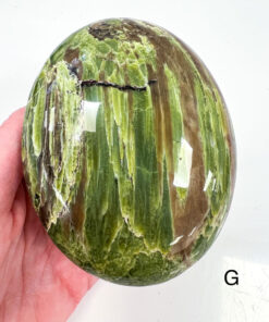 Large Tremolite palm