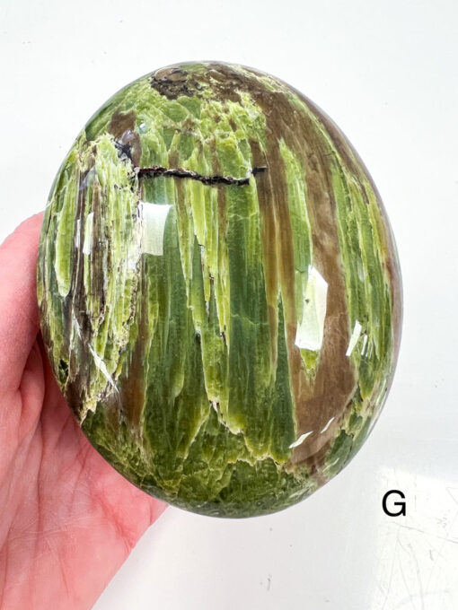 Large Tremolite palm