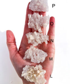 Snowflake Apophyllite crystals