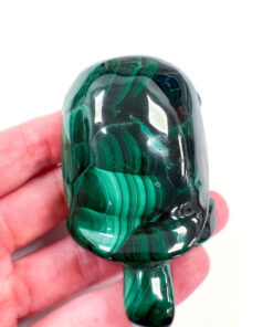 Malachite tortoise