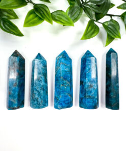 Apatite point