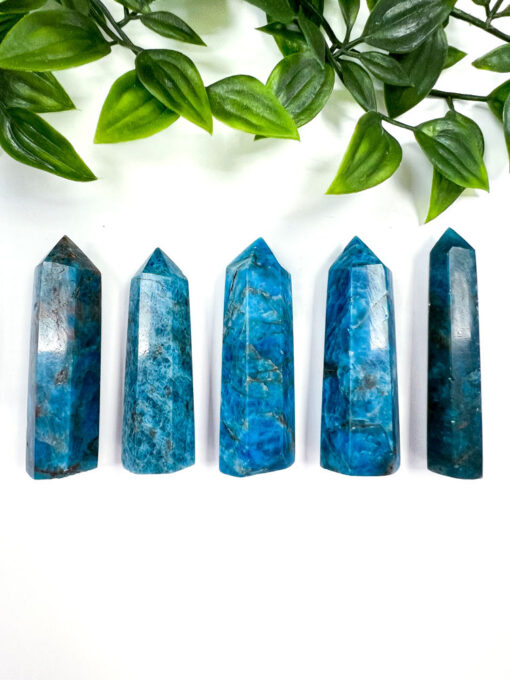 Apatite point