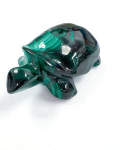 Malachite tortoise