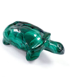 Malachite tortoise