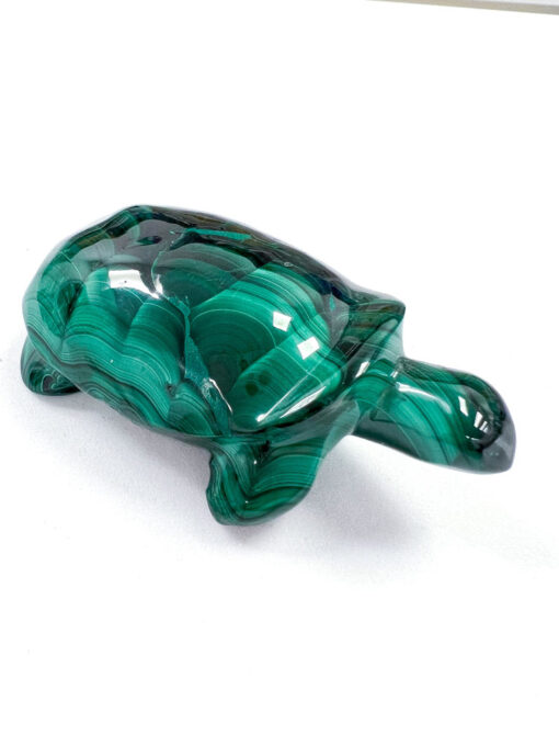 Malachite tortoise