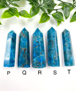 Apatite point