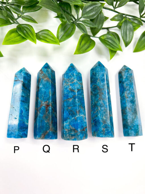 Apatite point