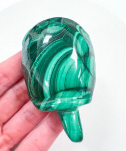 Malachite tortoise