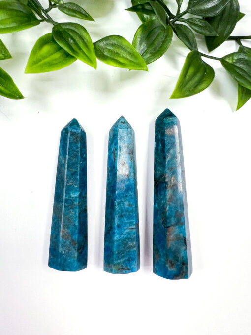 Apatite point