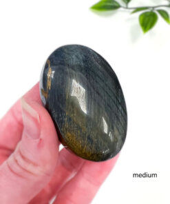 Blue Tigers Eye palm