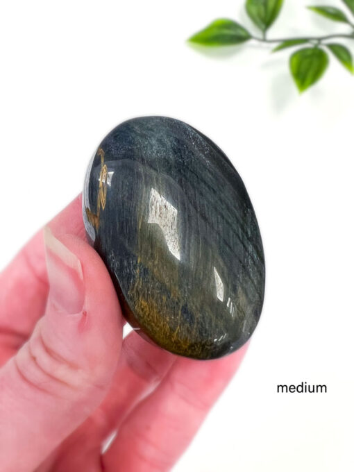 Blue Tigers Eye palm