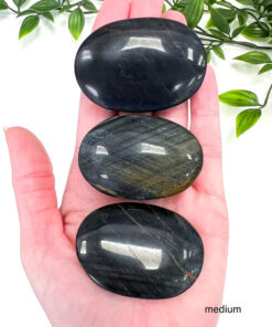 Blue Tigers Eye palm