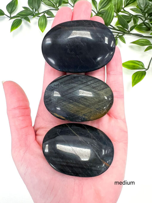 Blue Tigers Eye palm