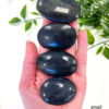 Blue Tigers Eye palm