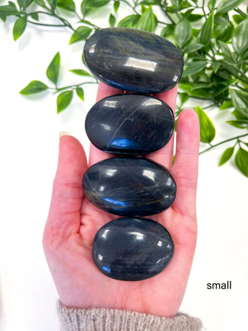 Blue Tigers Eye palm