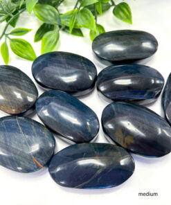 Blue Tigers Eye palm