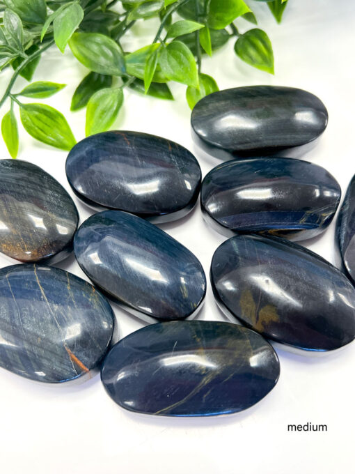 Blue Tigers Eye palm