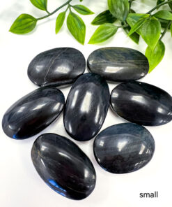 Blue Tigers Eye palm