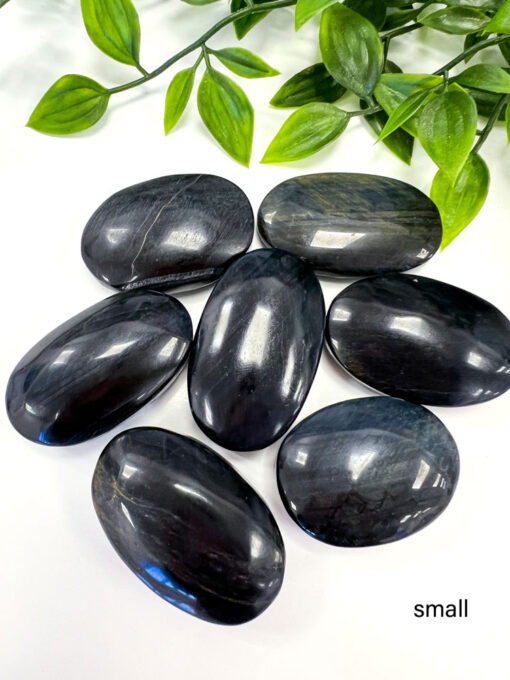 Blue Tigers Eye palm