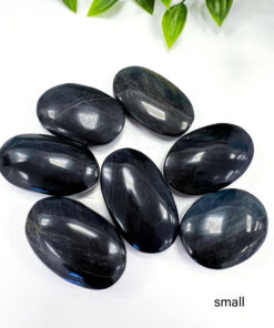 Blue Tigers Eye palm