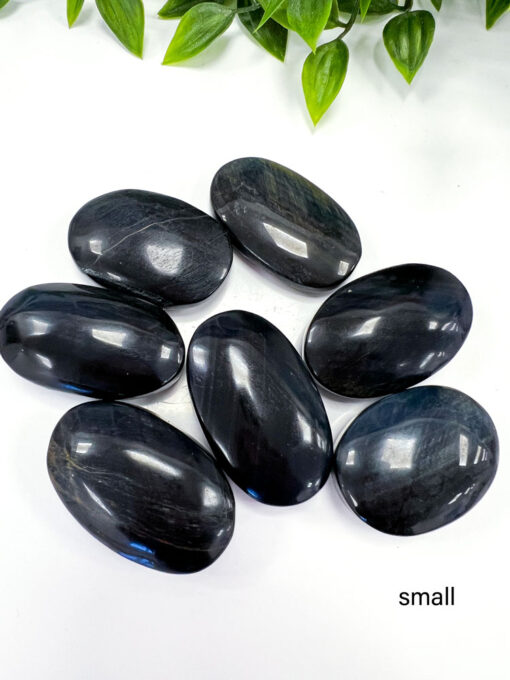 Blue Tigers Eye palm