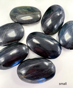 Blue Tigers Eye palm