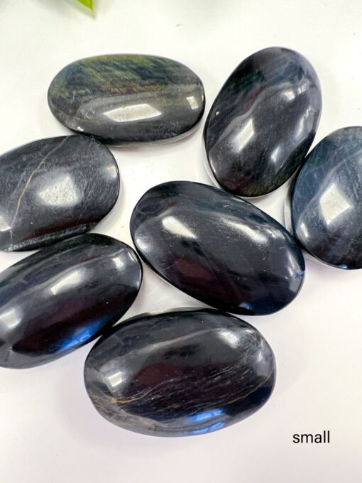 Blue Tigers Eye palm