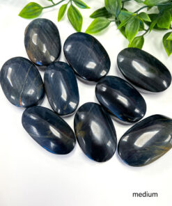 Blue Tigers Eye palm