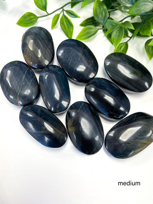 Blue Tigers Eye palm