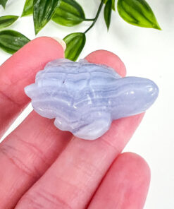 Blue Lace Agate turtle