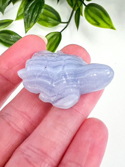 Blue Lace Agate turtle