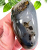 Dendritic Agate palm