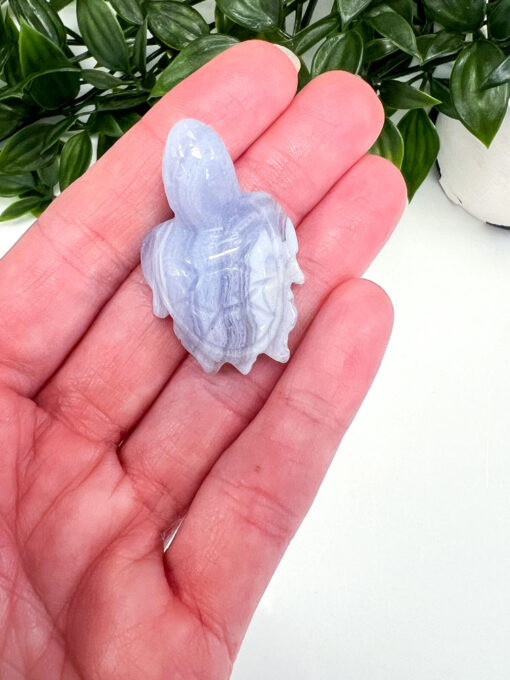 Blue Lace Agate turtle