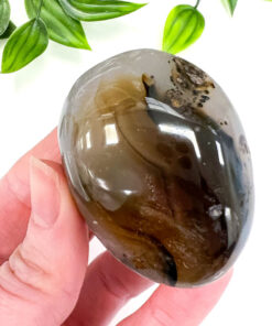 Dendritic Agate palm