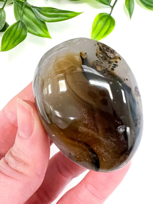 Dendritic Agate palm