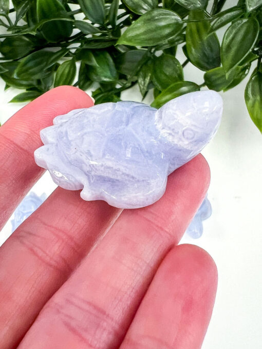 Blue Lace Agate turtle