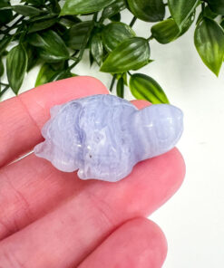 Blue Lace Agate turtle