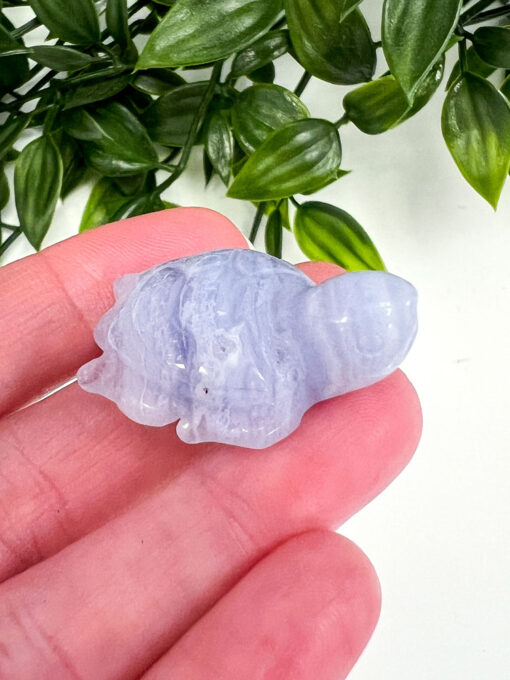 Blue Lace Agate turtle